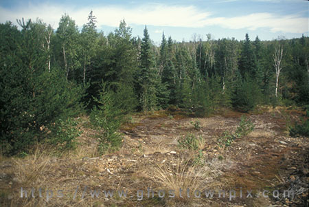 Photo of former site