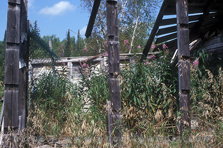 Photo of ruins