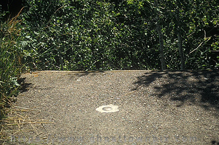 Border crossing