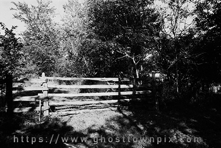Photo of gate