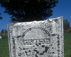 Early tombstone in Vanwyck's Cemetery Tombstone