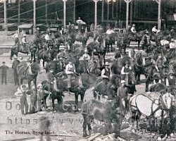 A group of workers on their horses nearby the mill. As there were no roads loading to Byng Inlet, horses would have been the main means of transport. Workers