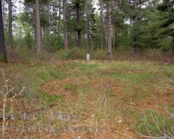 The Anglican and United (Presbyterian) cemeteries lie side by side in a secluded area on Concession 11 Cemetery