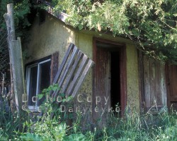 Ruin