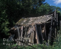 Ruin