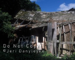 Ruin