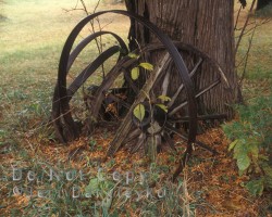Carriage wheels