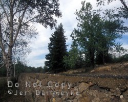 Pathway