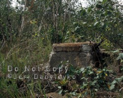 Ruins