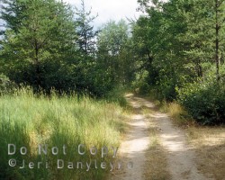 Roadway