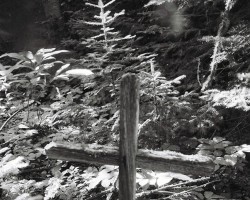 Cemetery