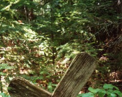 Cemetery