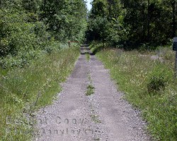 The rail trail Rail trail