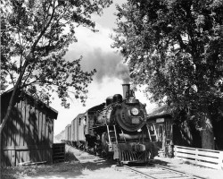 The Dunkeld flag station and freight shed in the mid 1950s Train