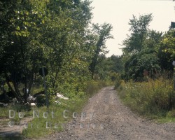 The old rail trail, now known as the Hastings Heritage Trail. Railtrail