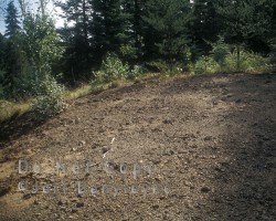 Mine site