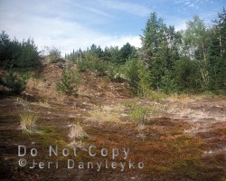 Mine site