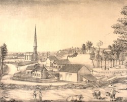 Illustration