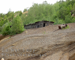 Shed,