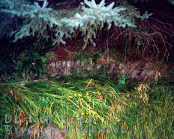 Retaining wall for former residence Wall