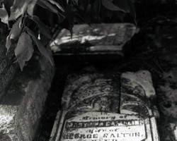 Photo of tombstone