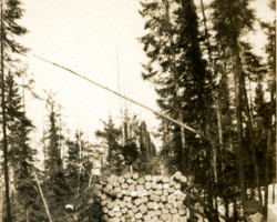 Logging near Sellwood in the 1920s Photo of loggers