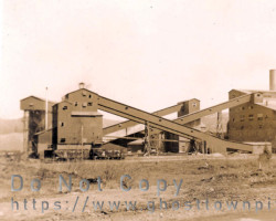 Photo of plant